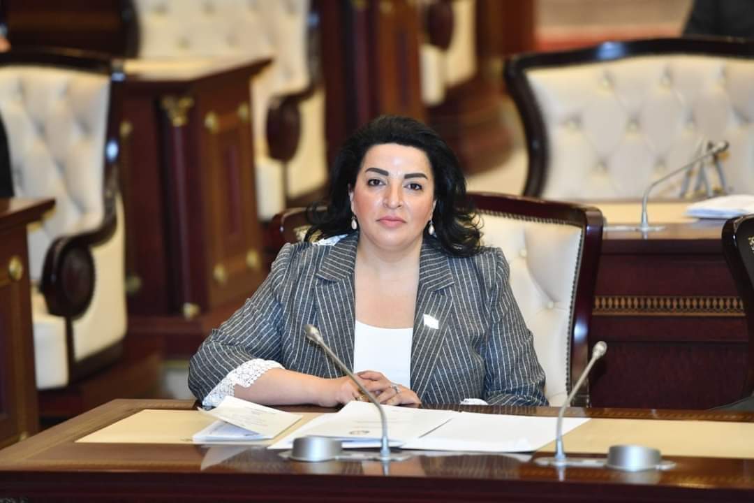 Sülhməramlıların hərəkətləri yolverilməzdir
