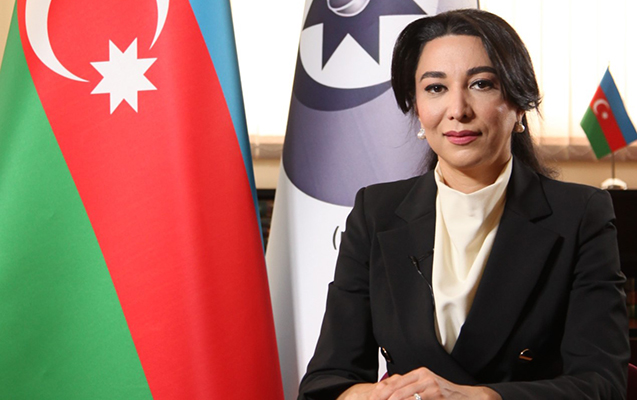 Ombudsman beynəlxalq ictimaiyyətə müraciət etdi