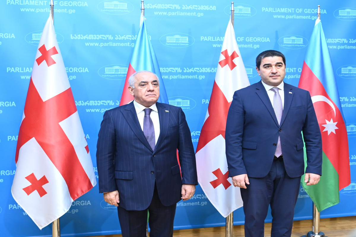 Əli Əsədov Papuaşvili ilə müzakirə apardı