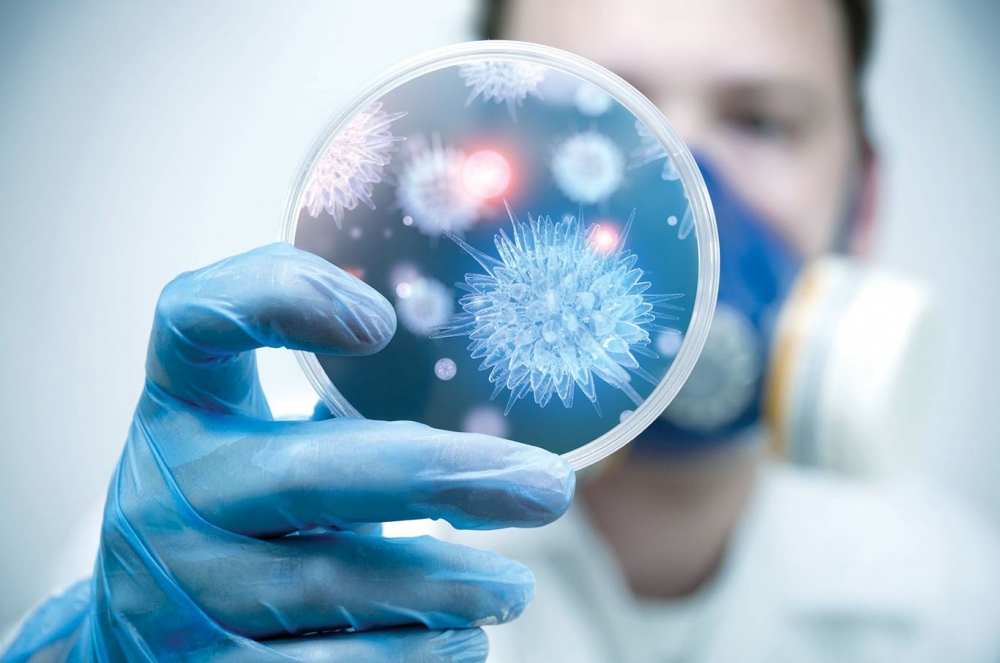 Gürcüstanda 12 növ virus AŞKARLANIB