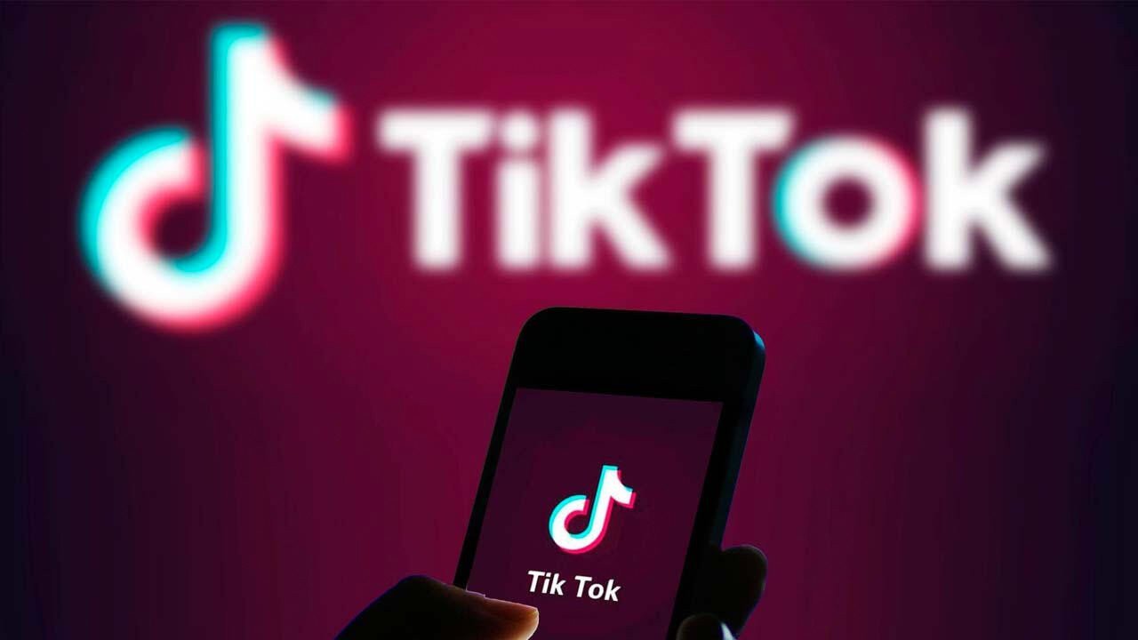 Parlamentdə “Tik-Tok”un qadağan olunması təklif edildi