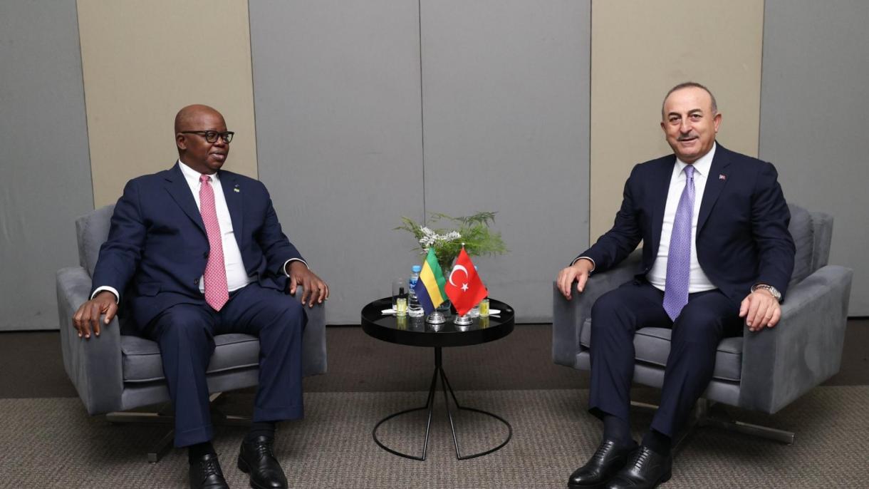 Çavuşoğlu Braziliyada həmkarları ilə görüşdü