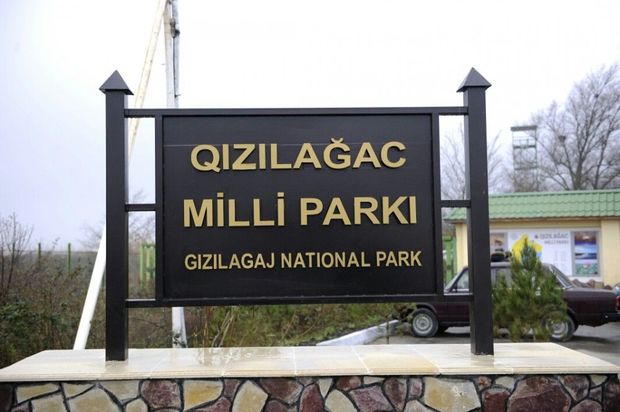 Qızılağacda balıq tutan şəxs saxlanıldı