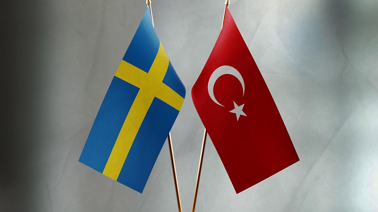 Türkiyə İsveç spikerinin səfərini ləğv etdi 