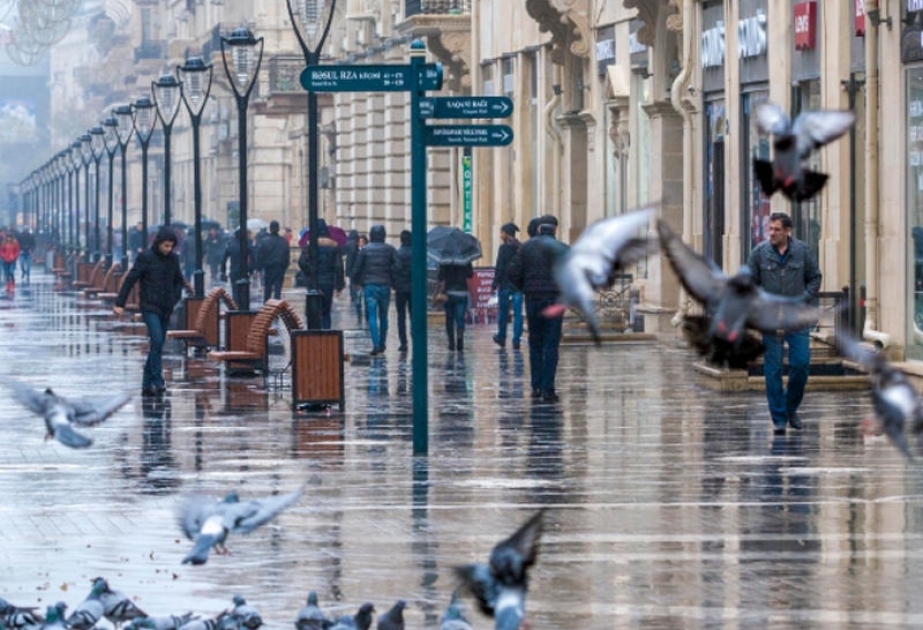 Bu günün hava PROQNOZU