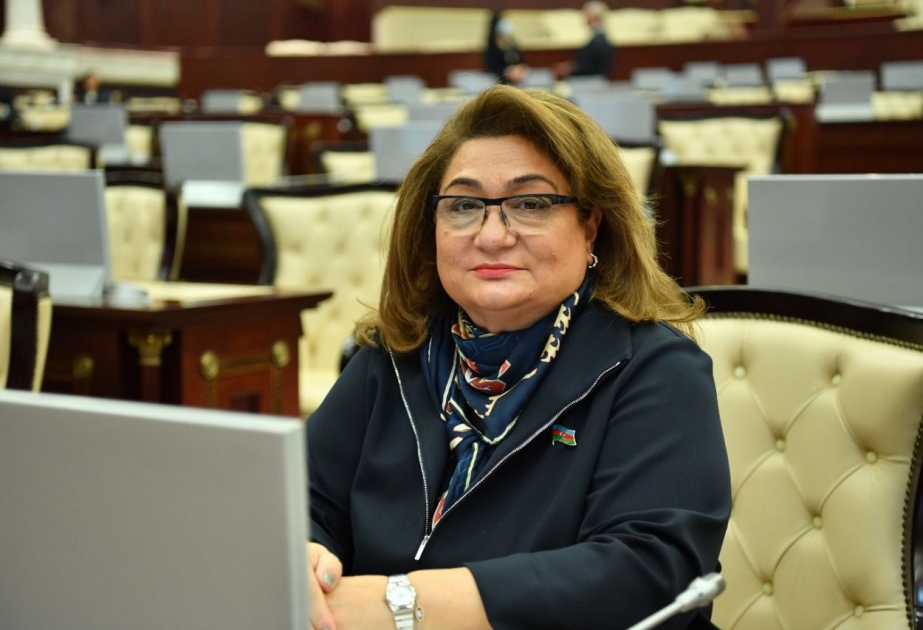 Milli Məclisin bu komitəsi dəyirmi masa keçirəcək