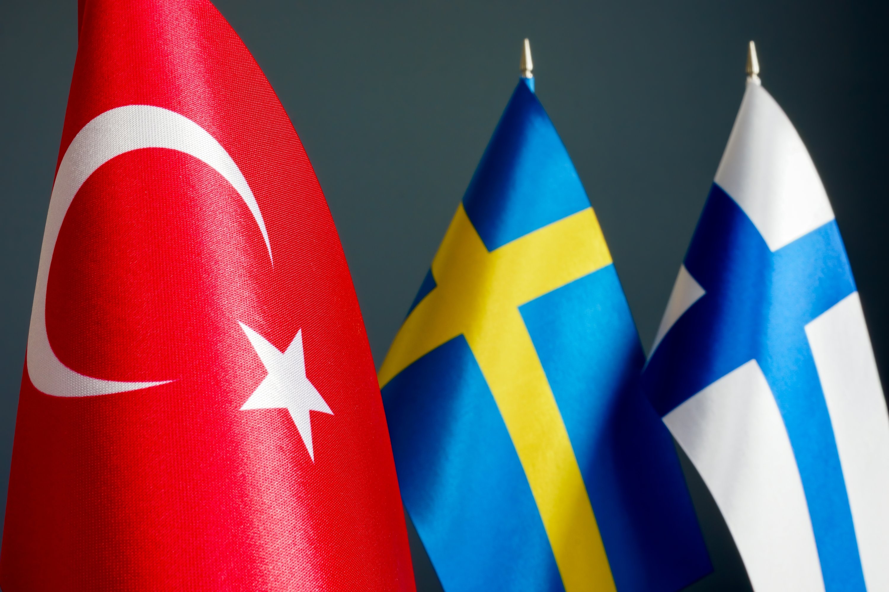 Türkiyə, İsveç və Finlandiyanın görüşü ləğv olundu