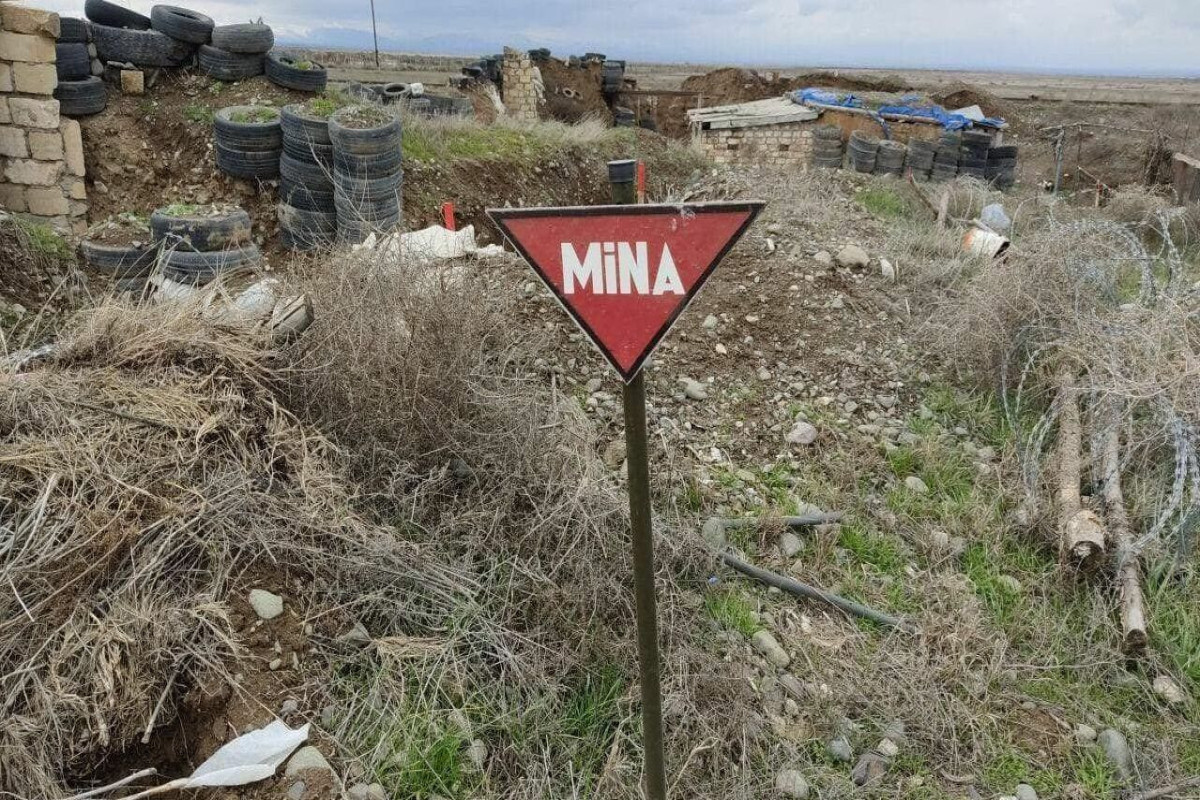 Mina qurbanlarının son sayı AÇIQLANDI