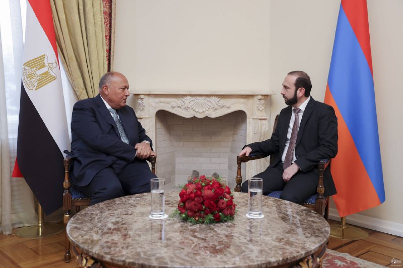 Mirzoyan misirli həmkarı ilə Laçın dəhlizini müzakirə etdi