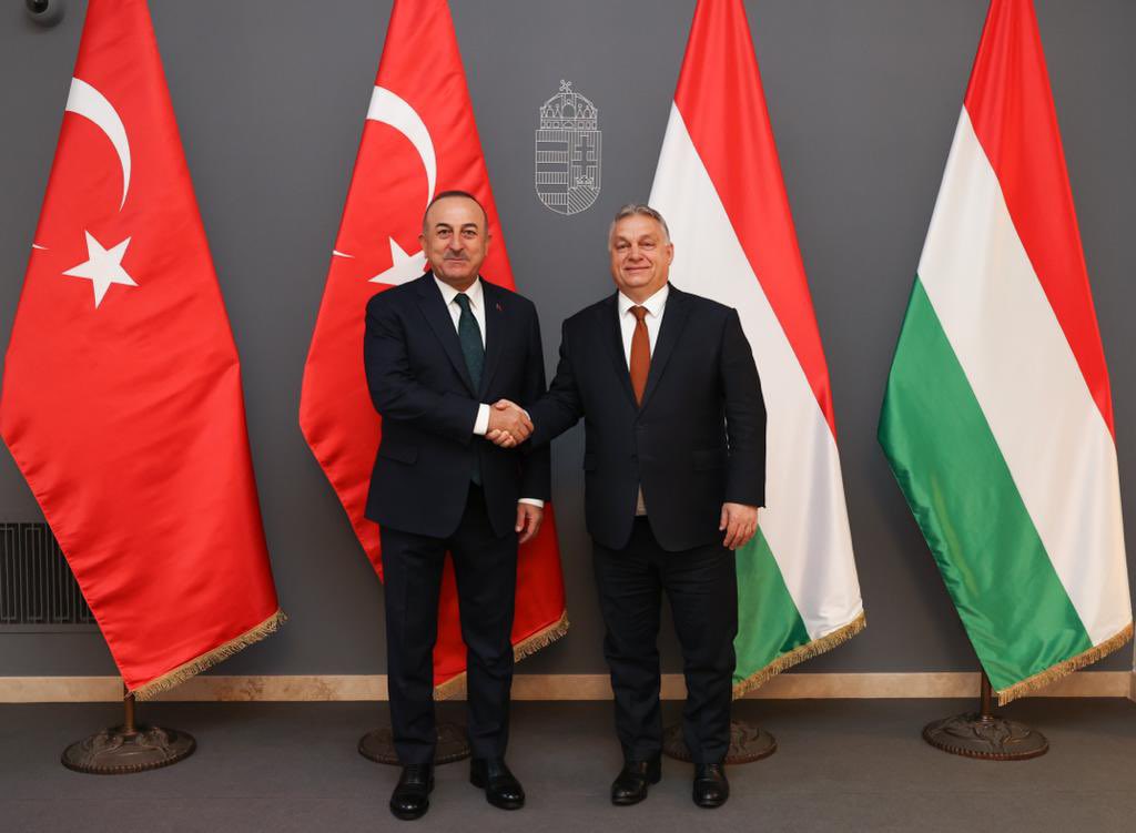 Çavuşoğlu Orbanla görüşdü - FOTO