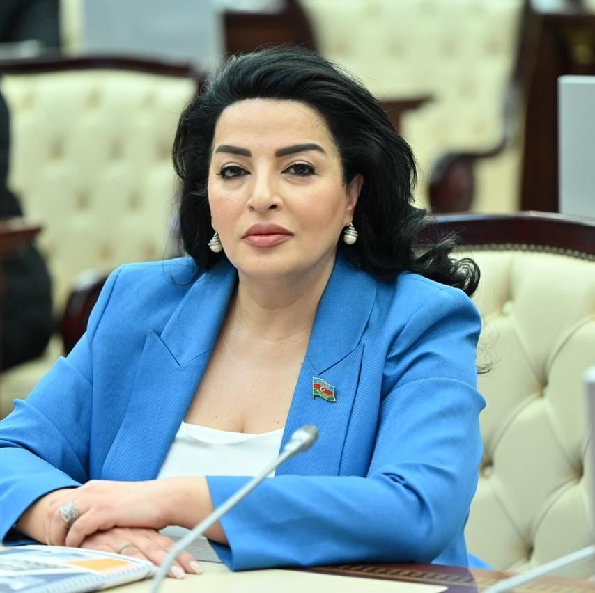 Fatma Yıldırım Bərdənin problemlərini parlamentdə qaldırdı
