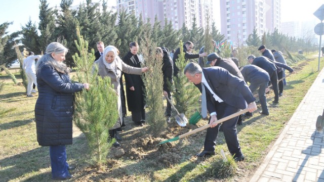 Abşeronda abadlıq-təmizlik işləri görüldü - FOTOLAR
