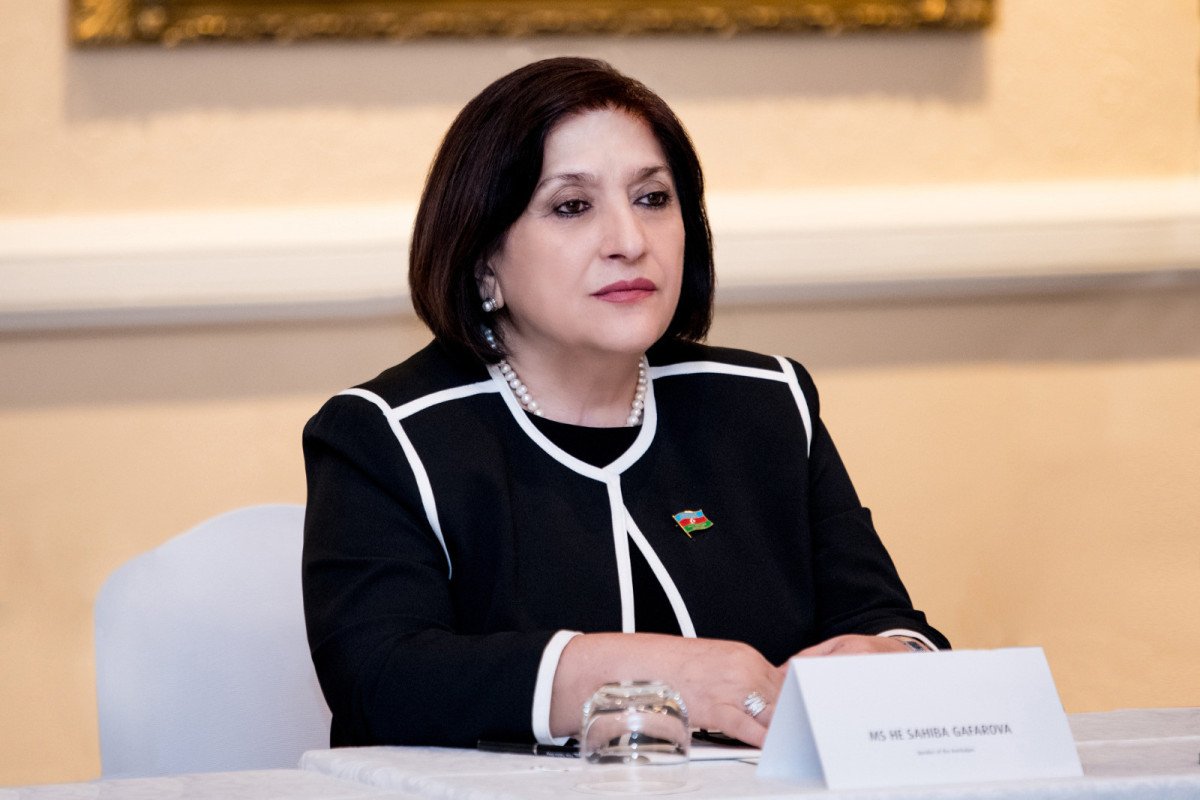 Sahibə Qafarova CAR-ın Milli Assambleya sədrilə görüşüb