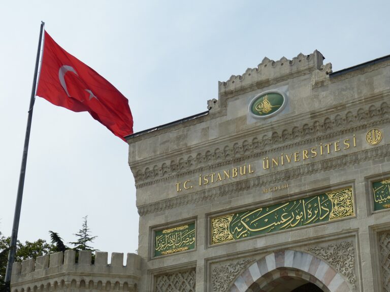 Türkiyədə ali təhsil yaya qədər onlayn olacaq