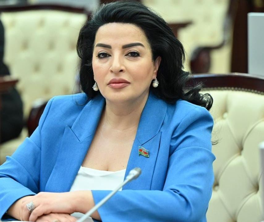 Deputat “Sabahın alimləri”ndən yazdı