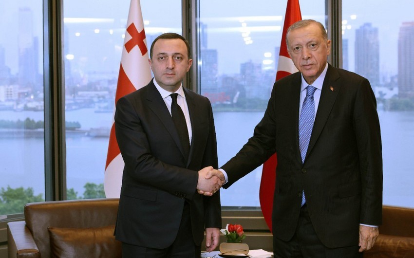 Ərdoğan Qaribaşvilini qəbul etdi