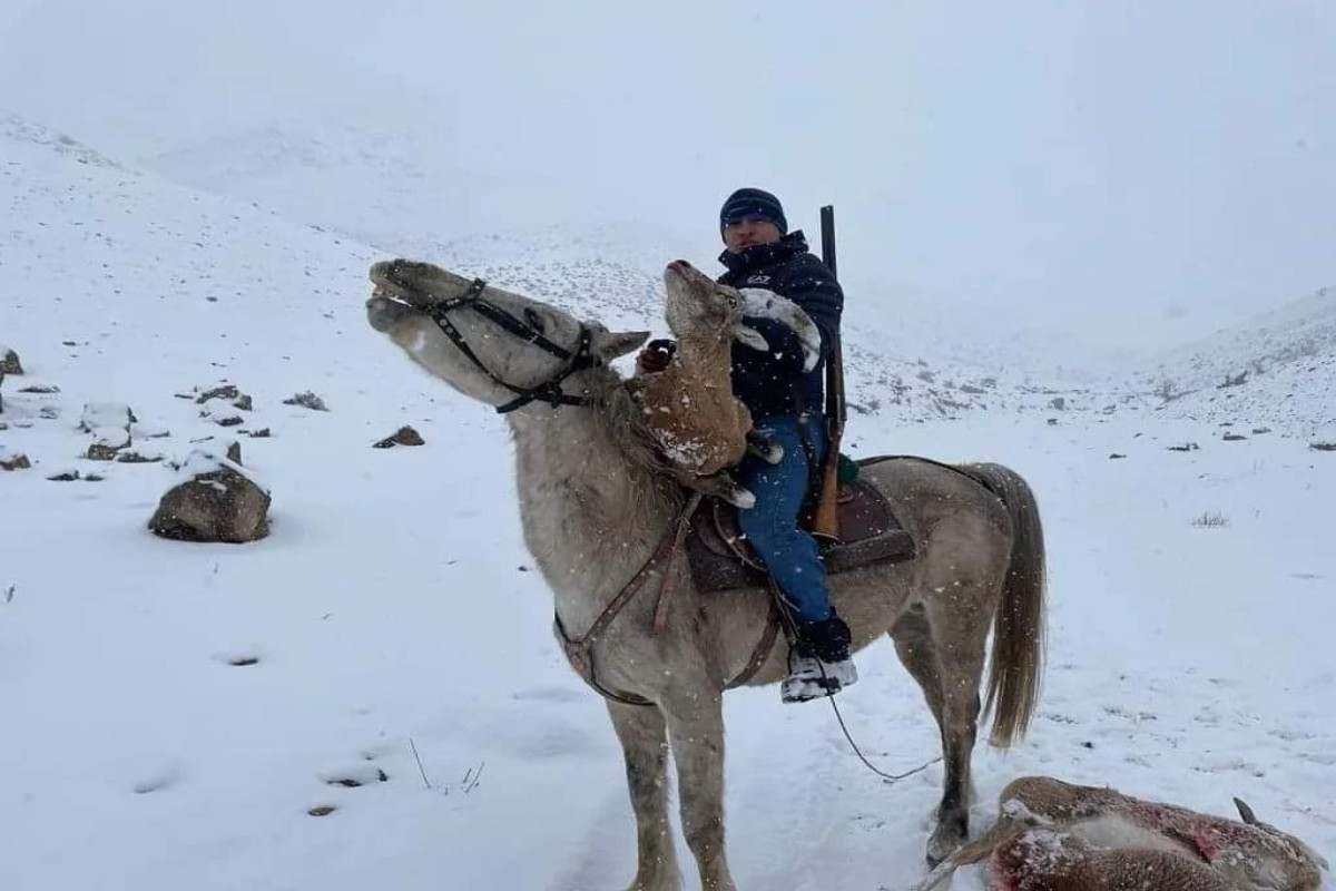 Dağ keçisi ovlayanlar saxlanıldı - FOTO