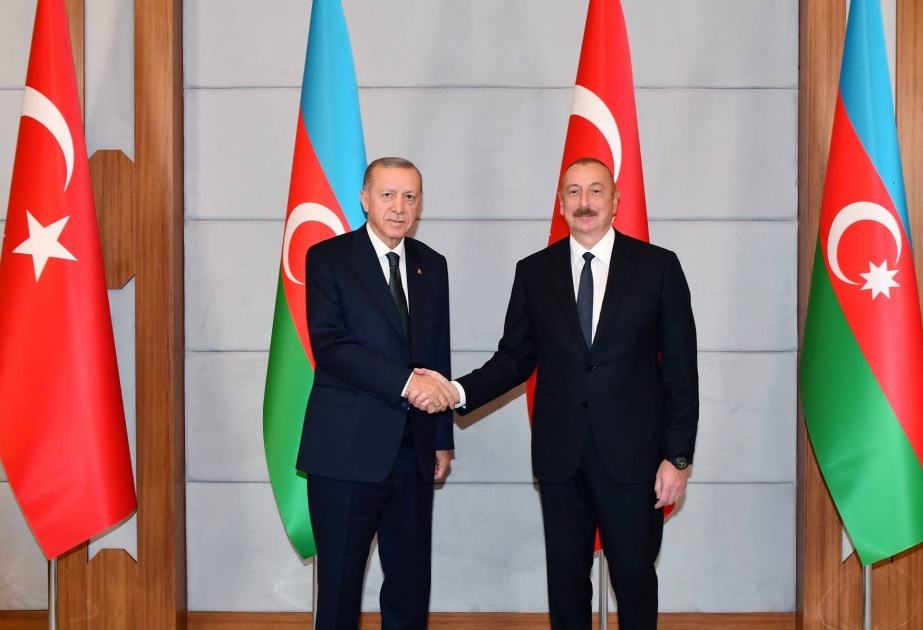 Prezidentin səfəri Türkiyəyə əsl qardaşlıq dəstəyidir
