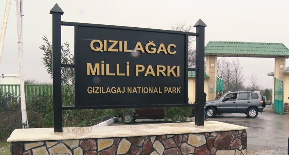 “Qızılağac”a yeni direktor təyin edildi - FOTO