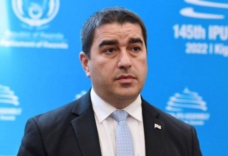 Bu qanun bir daha müzakirə olunmayacaq - Gürcü spiker