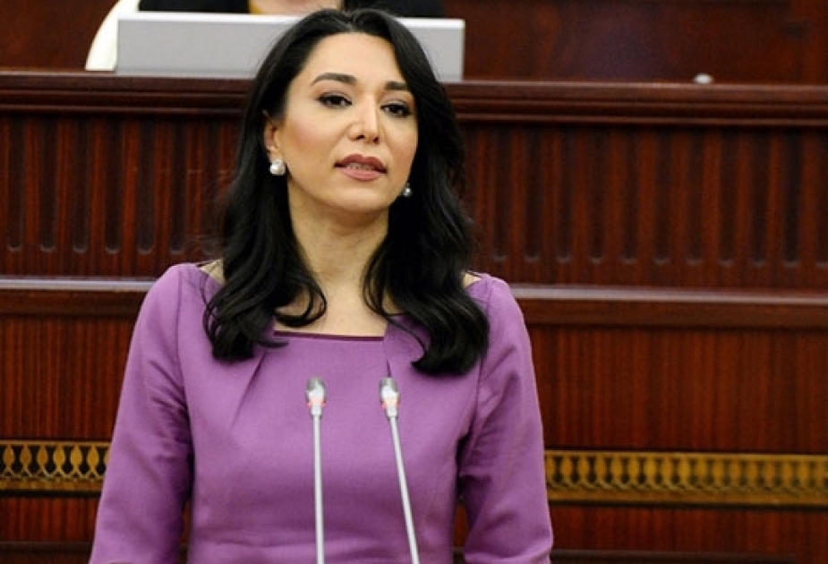 Süründürməçiliyin qarşısı alınsın - Ombudsman