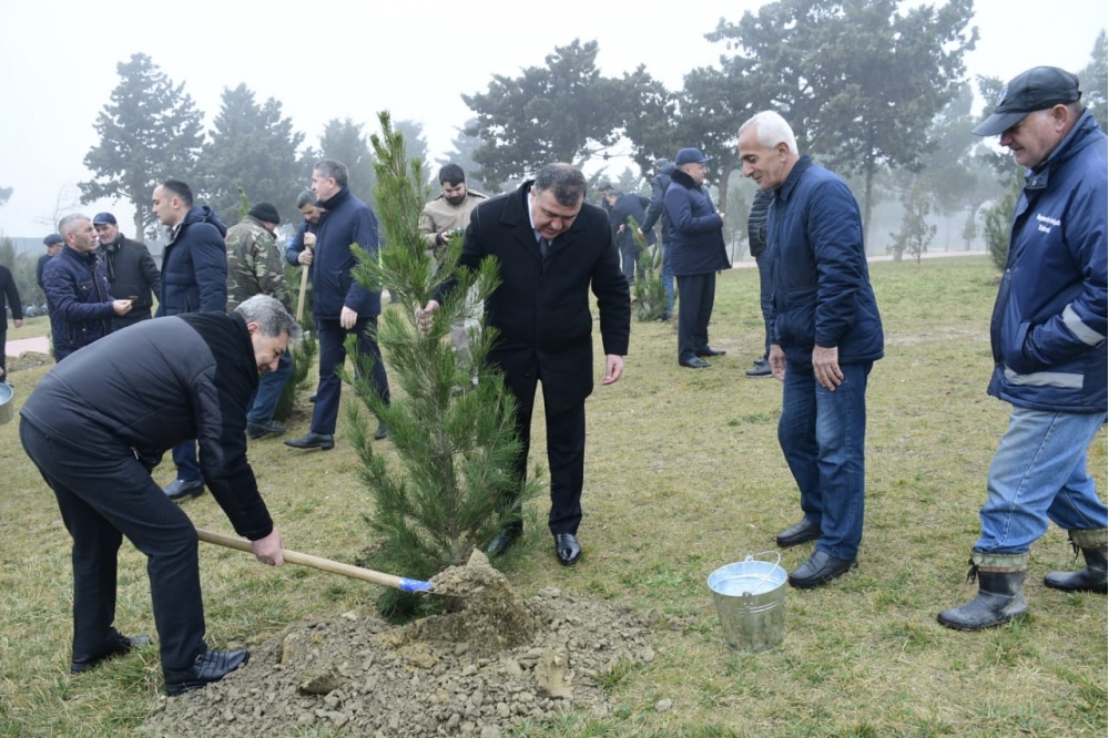 Növbəti ağacəkmə aksiyası keçirildi