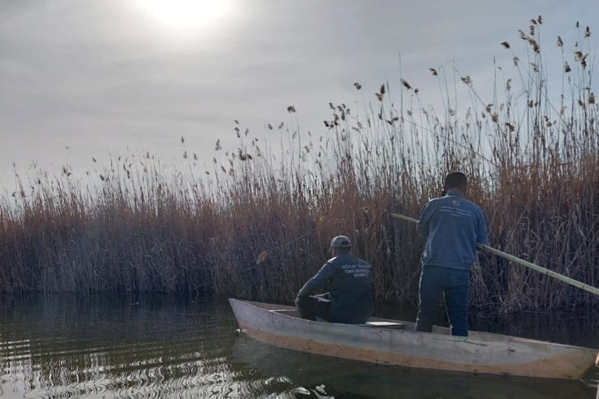 Milli Parkda mühafizə rejimi pozulub