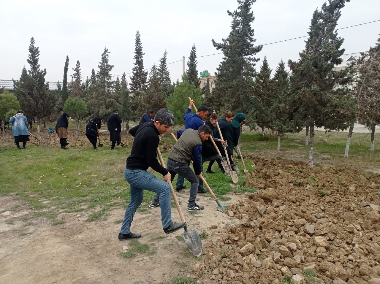 Hacıqabulda iməcilik keçirilib