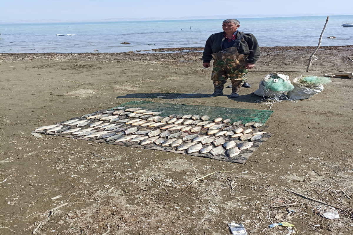Elektriklə balıq ovlayanlar saxlanıldı - FOTO