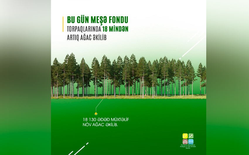 Bu gün 18 mindən çox ağac əkilib