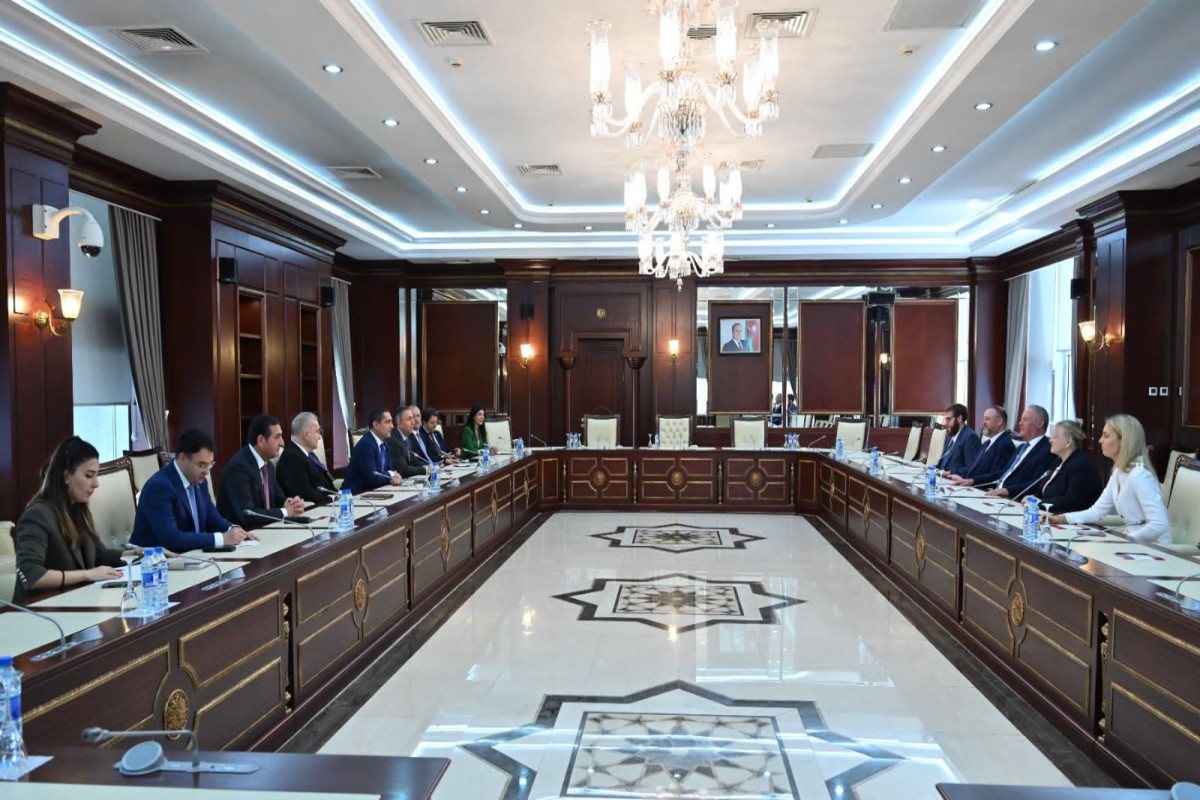 Britaniyalı deputatlar Milli Məclisdə - FOTO
