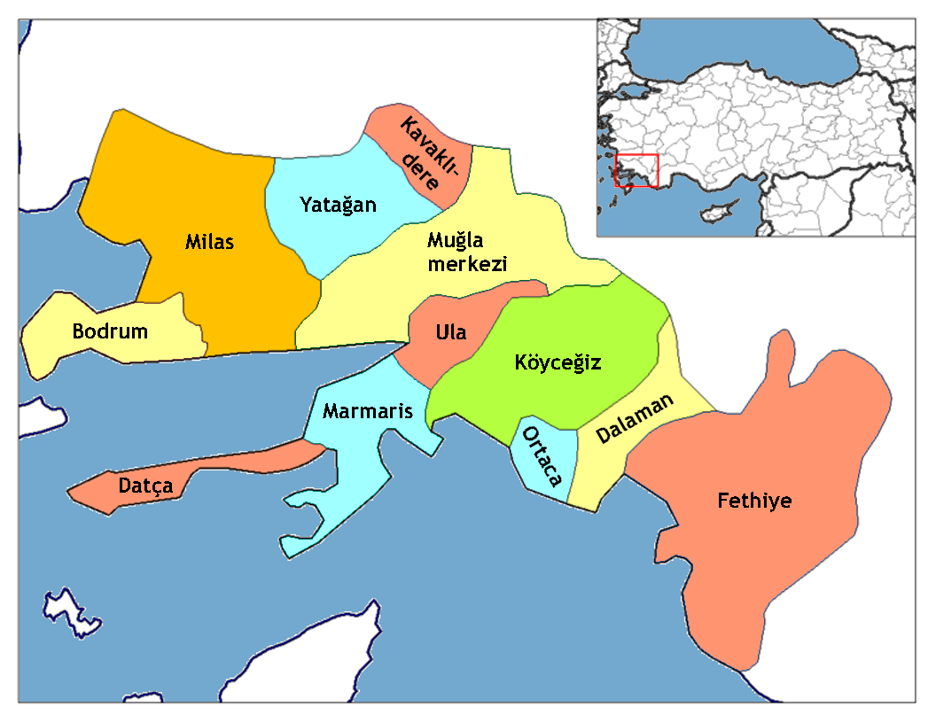 Türkiyədə yenə zəlzələ oldu