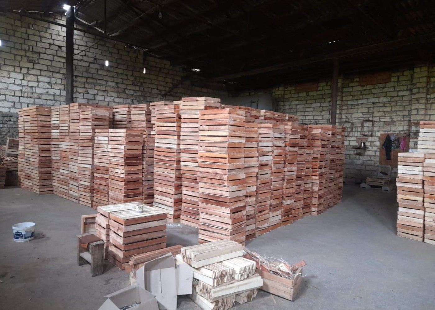 Göyçayda qanunsuz taxta sexləri aşkarlandı