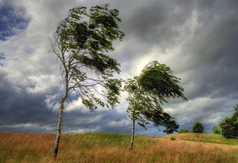 Bu günün hava PROQNOZU