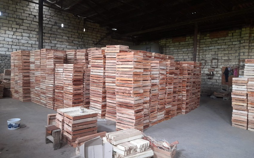 Qanunsuz fəaliyyət göstərən taxta sexləri aşkarlandı