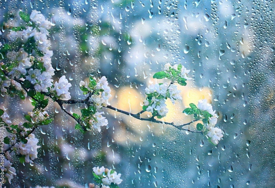 Yağış, qar, külək - Günün havası