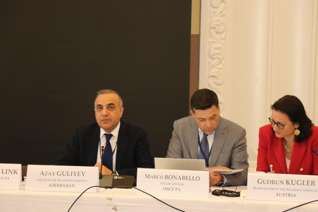 Azay Quliyev ATƏT PA-da sərhəd məntəqəsindən danışdı 