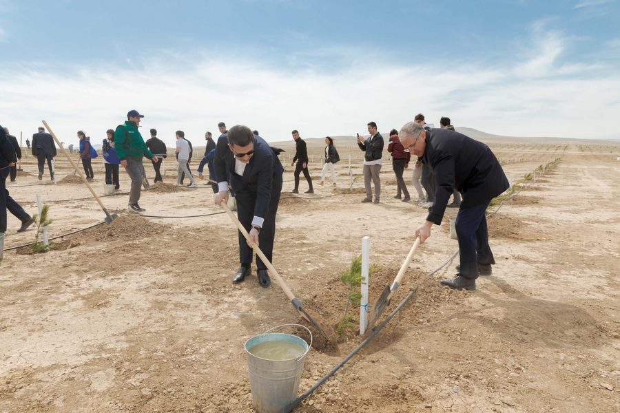 “Heydər Əliyev ili”ndə növbəti ağacəkmə aksiyası - FOTOLAR 