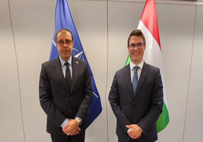 Azərbaycan və Macarıstan səfirləri görüşdü