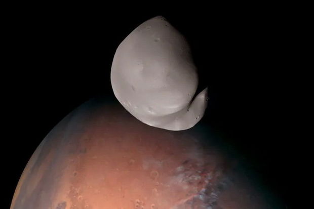 Alimlər indiyədək səhv etdiklərini anladılar - VİDEO