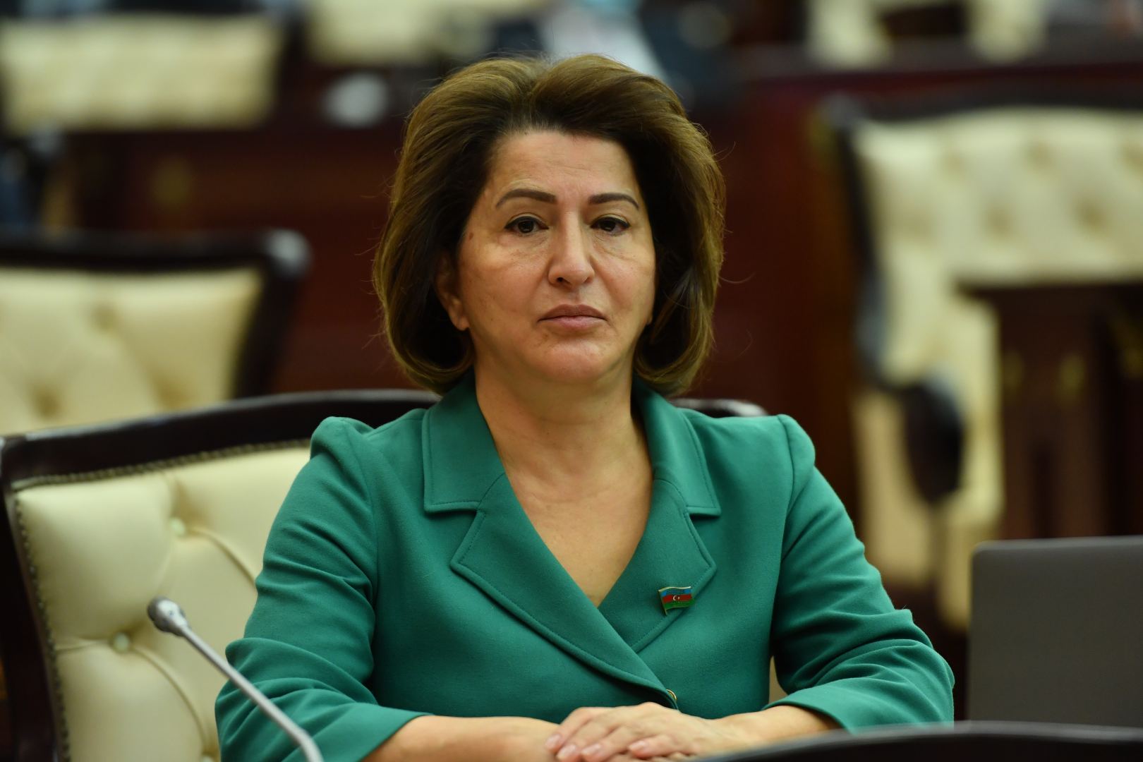 Himayədar ailələrin tətbiqi müsbət haldır - Deputat