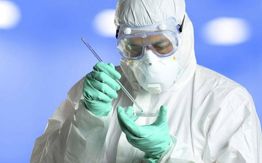 Yoluxanların son statistikası - Daha 2 ölüm