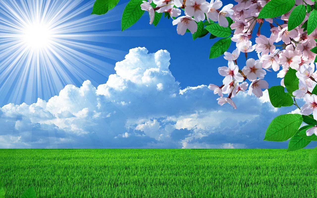 Mayda 35 dərəcə isti olacaq - Aylıq proqnoz