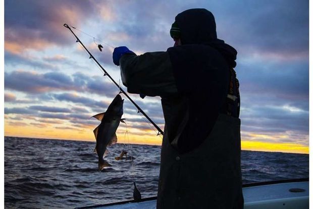 Qanunsuz balıq ovlayanlar cəzalandırıldı