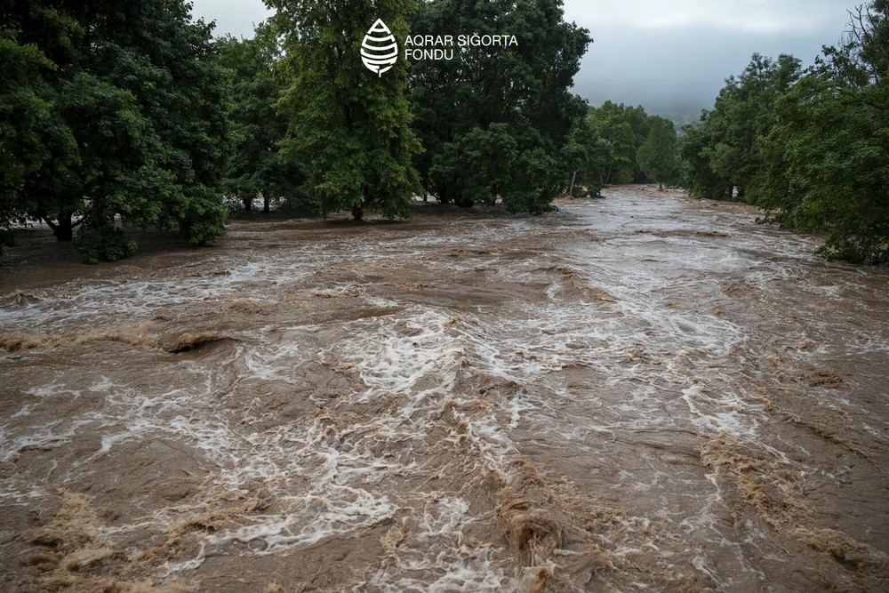 Fermerler ziyana görə Aqrar Sığorta Fonduna müraciət etdilər