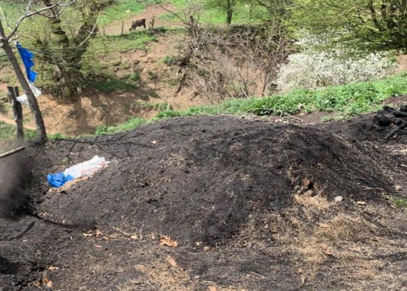Daha 3 qanunsuz kömür quyusu aşkarlandı 