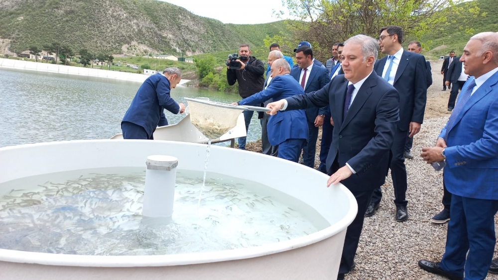 Suqovuşan su anbarına balıq körpələri buraxılıb