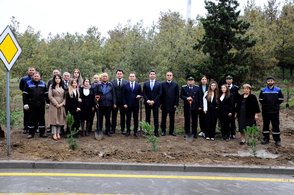 “Heydər Əliyev İli” çərçivəsində ağacəkmə aksiyası keçirilib