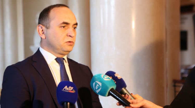 Prezident Şərqi Zəngəzurdakı işlərə özü birbaşa nəzarət edir - Deputat