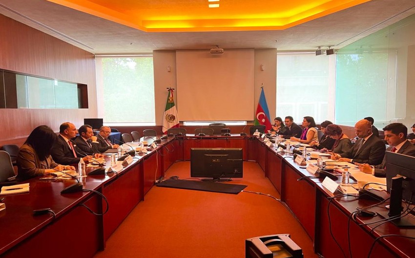 Nazir müavini Meksikaya səfər edib